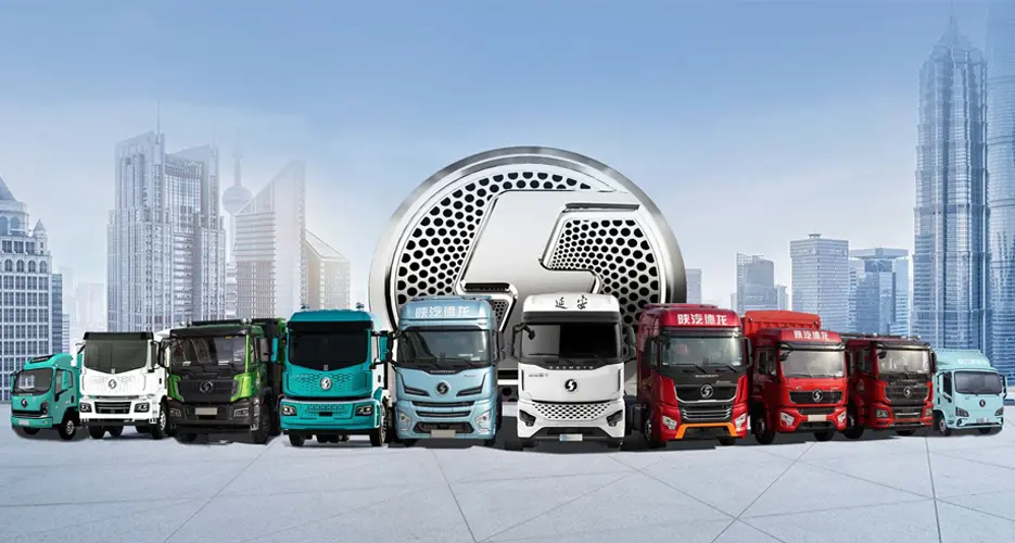 Shaanxi Automobile Holding Group (2)